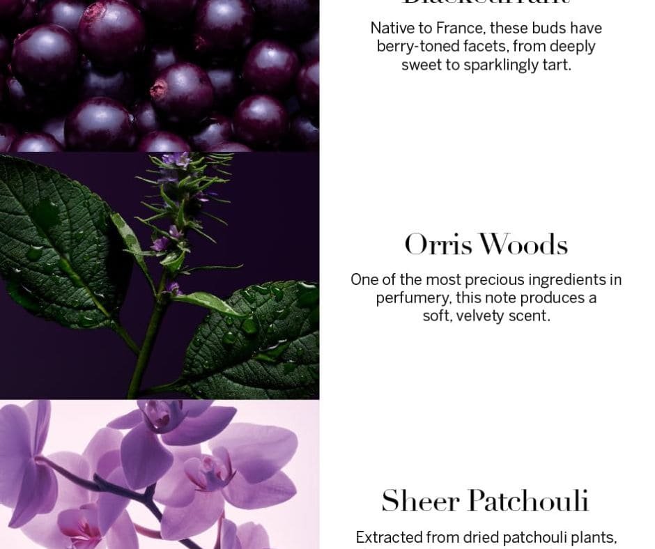 Very Sexy Victoria Secret Perfume for Women | Orchid EDP - Image 4